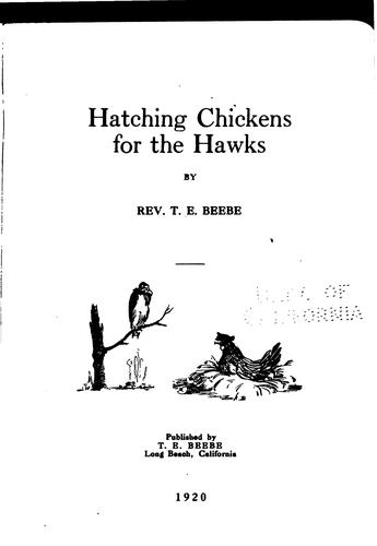 Hatching chickens for the hawks