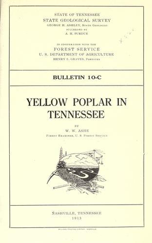 Yellow poplar in Tennessee