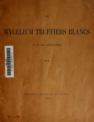 Les mycelium truffiers blanc