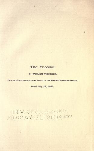 The yucceae