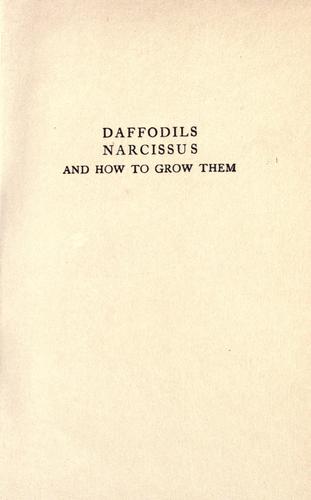 Daffodils, narcissus, and how to grow them as hardy plants and for cut flowers