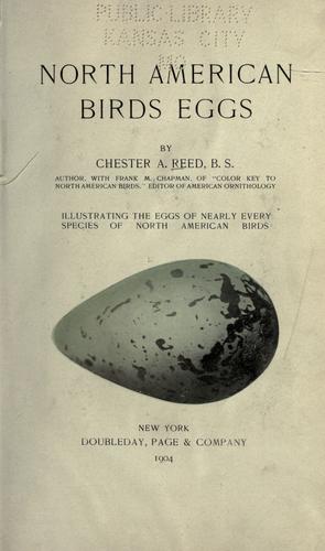 North American birds eggs