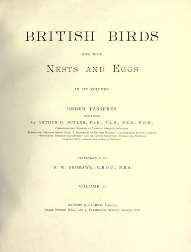 British birds with their nests and eggs