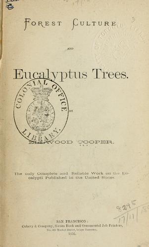 Forest culture and eucalyptus trees