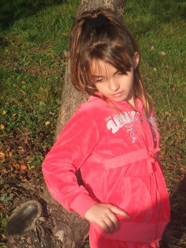 lulje dhe  shega