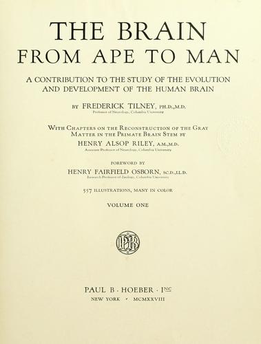 The brain from ape to man