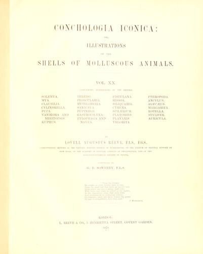 Conchologia iconica, or, Illustrations of the shells of molluscous animals