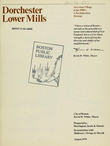 Dorchester lower mills: an urban village in the 1980's: a revitalization strategy