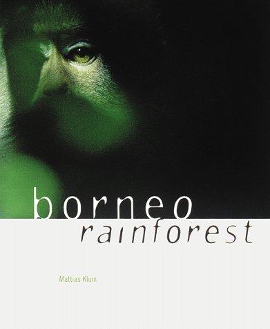 Borneo rain forest