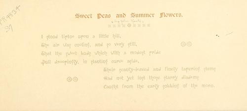 Sweet peas and summer flowers