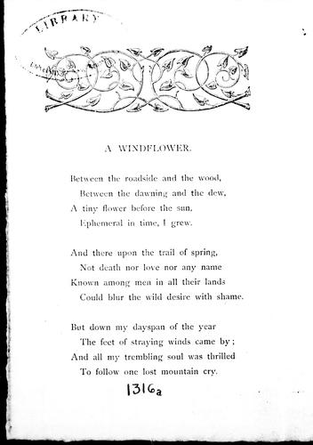 A windflower