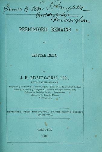 Prehistoric remains in central India