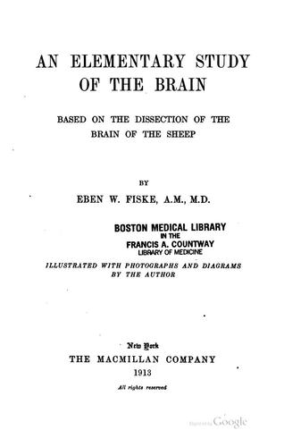 An elementary study of the brain