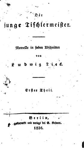 Der junge Tischlermeister: Novelle in sieben Abschnitten