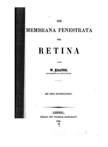 Die Membrana Fenestrata der Retina