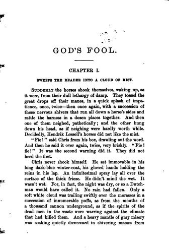 God's Fool: A Koopstad Story