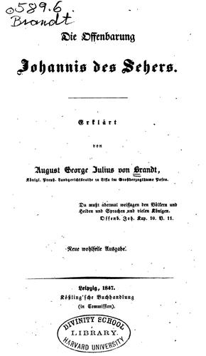 Die Offenbarung Johannis der Sehers erklärt