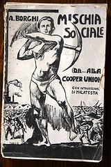 Mischia sociale