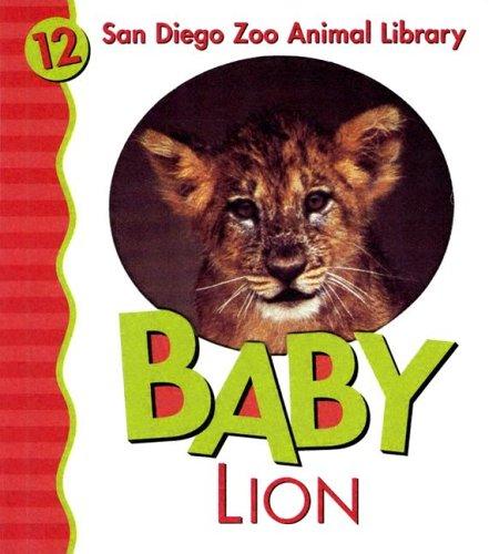 Baby lion