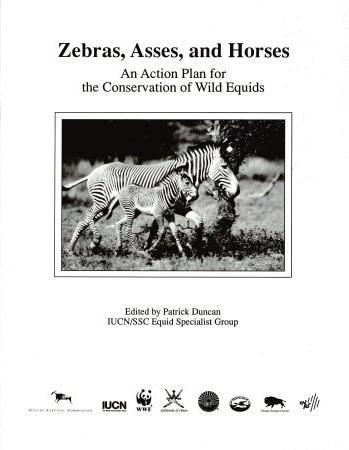 Zebras, Asses, and Horses