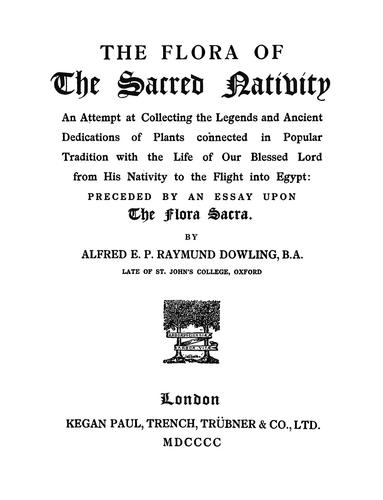 The flora of the sacred nativity