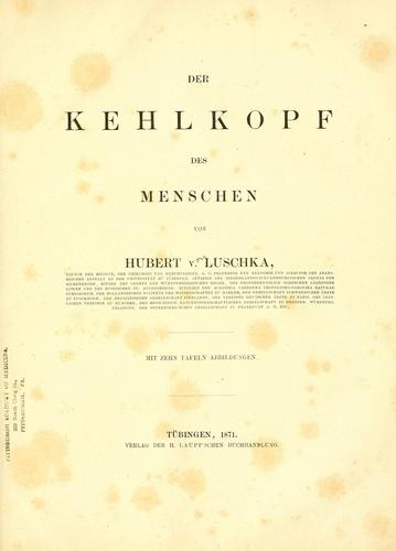 Der Kehlkopf des Menschen