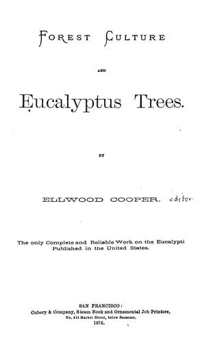 Forest culture and eucalyptus trees