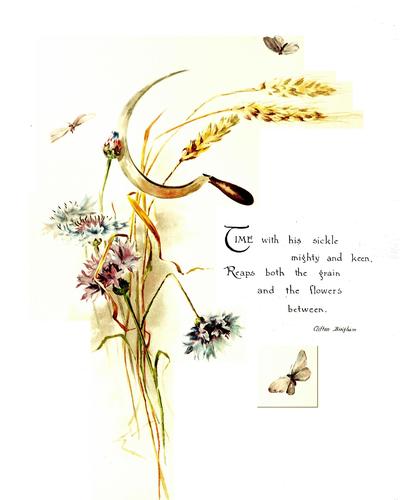 Through woodland and meadow & other poems
