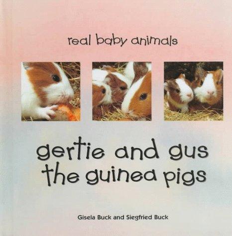 Gertie and Gus the guinea pigs