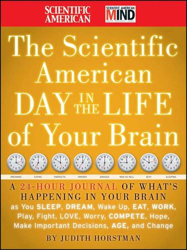 The Scientific American Day in the Life of Your Brain