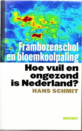 Frambozenschol en bloemkoolpaling