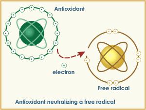 Antioxidants in higher plants