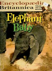 Elephant baby