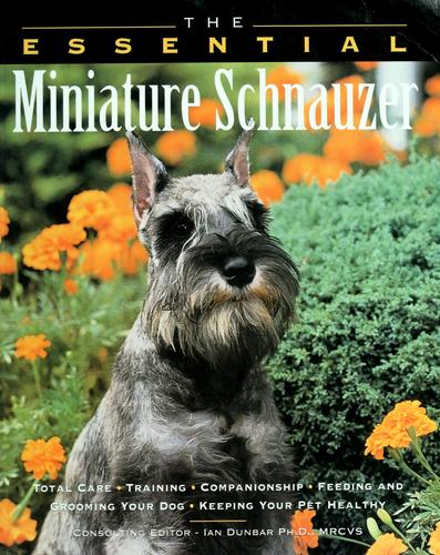The essential miniature schnauzer