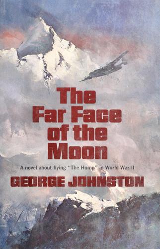 The far face of the moon