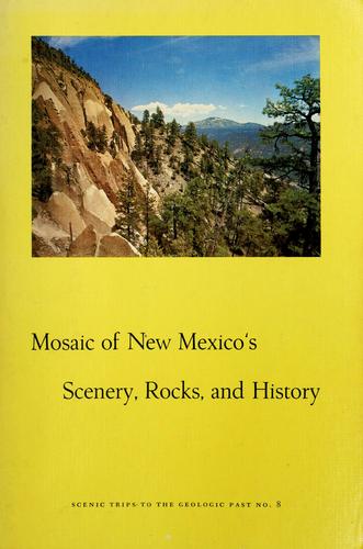 Mosaic of New Mexico's scenery, rocks, and history
