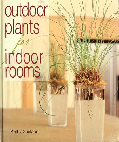 Outdoor plants for indoor rooms