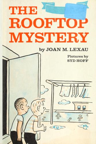 The rooftop mystery
