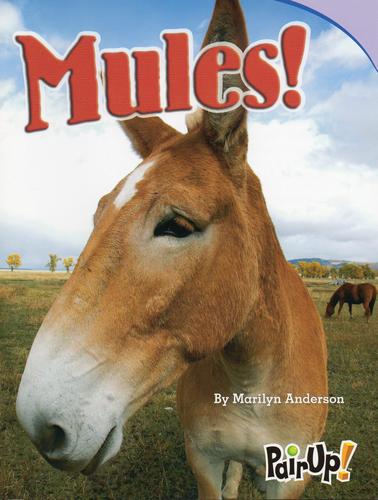 Mules