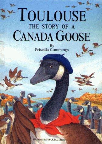 Toulouse, the story of a Canada goose