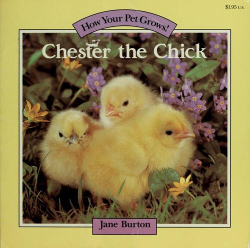 Chester the chick