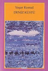 Deniz küstü