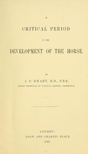 A critical period in the development of the horse
