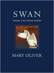 Swan