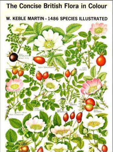The concise British flora in colour