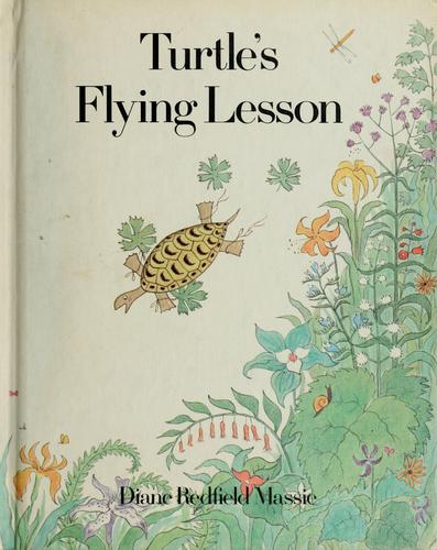 Turtle's flying lesson