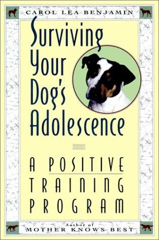 Surviving your dog's adolescence