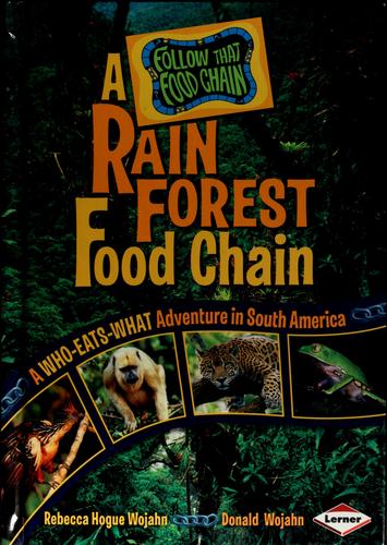 A rain forest food chain