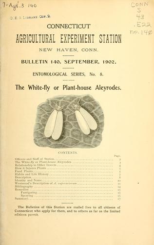 The white-fly or plant-house Aleyrodes