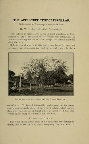 The apple-tree tent-caterpillar, Malacosoma (Clisiocampa) americana Fabr